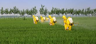 safe-use-of-agricultural-chemicals
